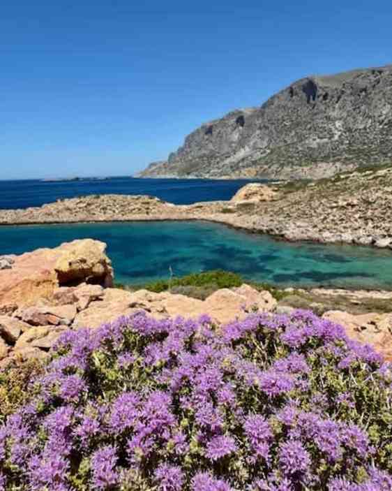 Reykjavik. Foto: Unsplash