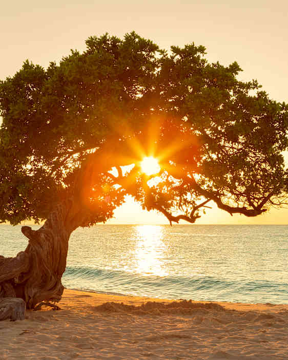Aruba
