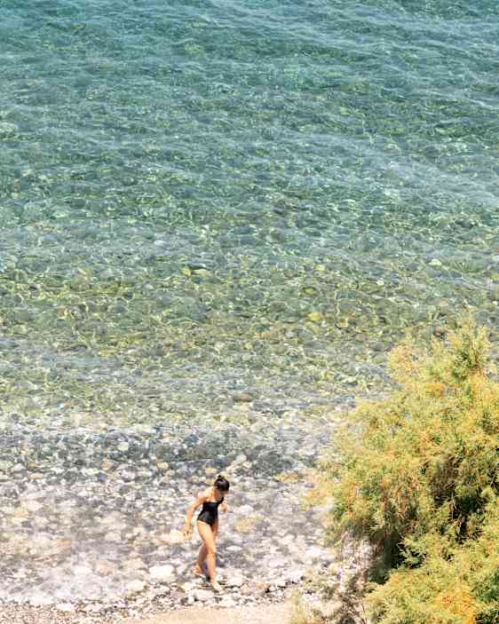 Søpapegøje. Foto: Unsplash