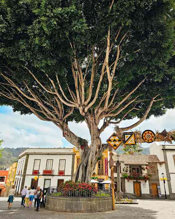 Playa del Ingles