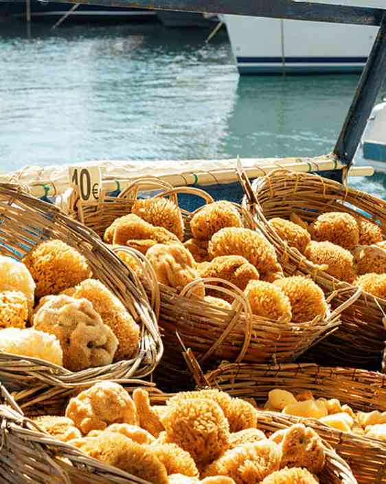 Reykjavik. Foto: Unsplash