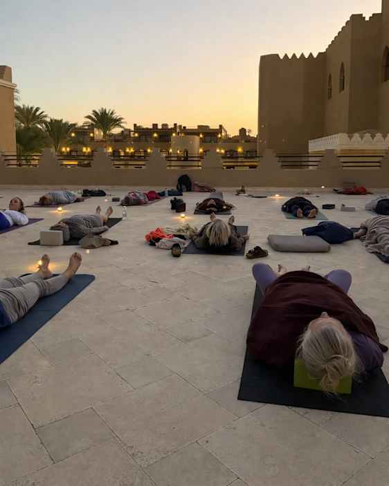 Søpapegøje. Foto: Unsplash