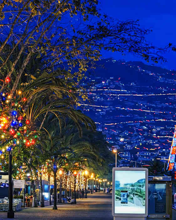 Smukke julelys i Funchal