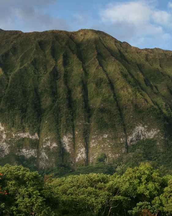 Bjerge Hawaii. Foto: Pixabay