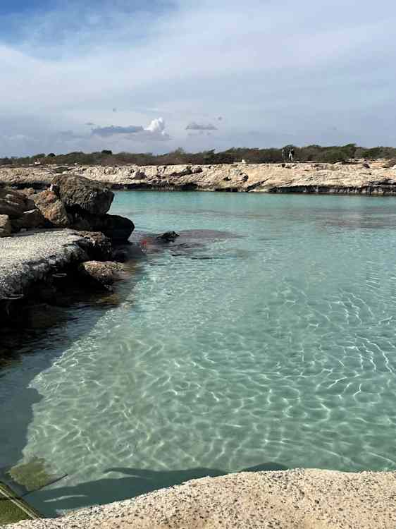 Smukt vand på Adam's Beach