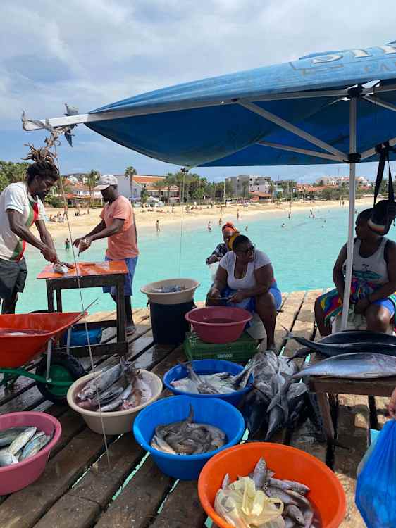 Fiskerne med deres friske fangst