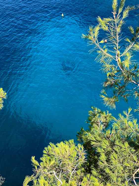 Havet er frisk og skønt ved Mallorca