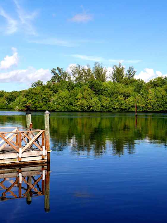 Sø i Everglades City med vådmark og mangroveskov i baggrunden