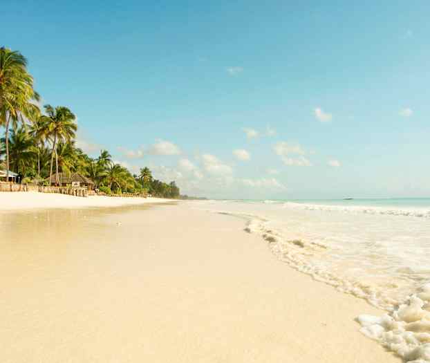 Tropisk strand med palmer og hvid sand. (AI-genereret tekst)