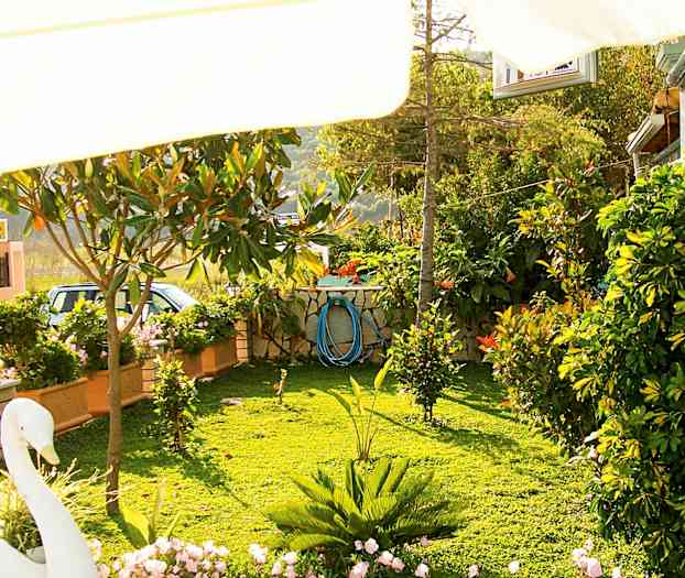 En grøn have med farverige blomster og planter. (AI-genereret tekst)