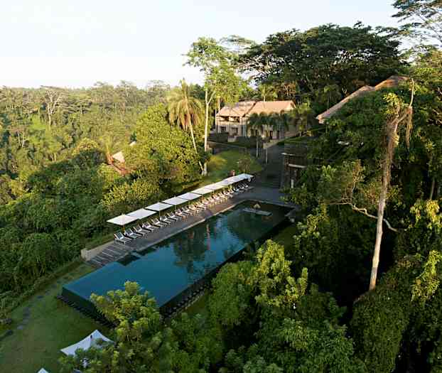 En infinitypool med liggestole ved kanten, omgivet af frodig tropisk skov. (AI-genereret tekst)