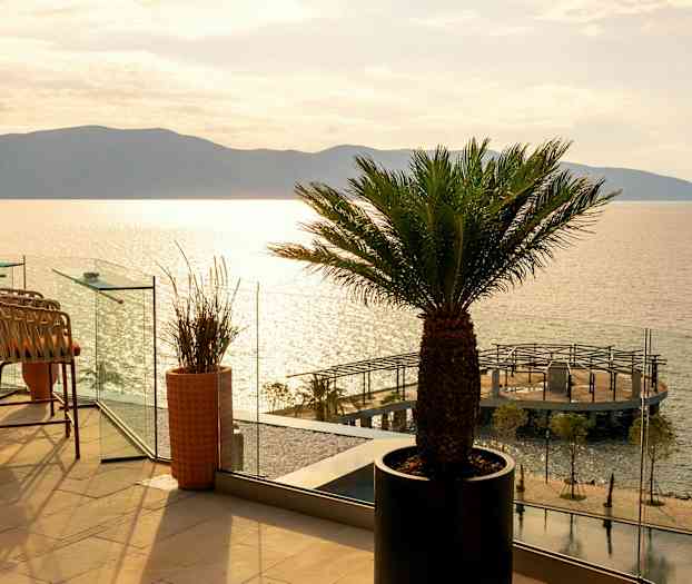 En terrasse med stole og palmer og udsigt over havet og en mole. (AI-genereret tekst)