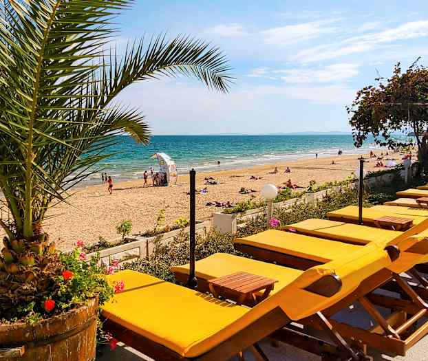 Billede af en solrig sandstrand med gule liggestole, en palme i forgrunden og det blå hav i baggrunden. (AI-genereret tekst)