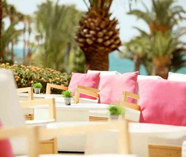 En udendørsterrasse med hvide siddepladser dekoreret med lyserøde puder og små grønne planter, omgivet af palmer og havudsigt. (AI-genereret tekst)