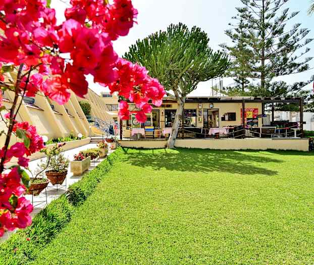 Billede af en græsplæne foran en bygning med træer og blomstrende rosa buske. (AI-genereret tekst)