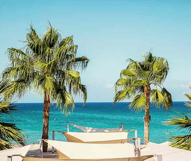 Palmer ved en strand med blåt hav i baggrunden. (AI-genereret tekst)