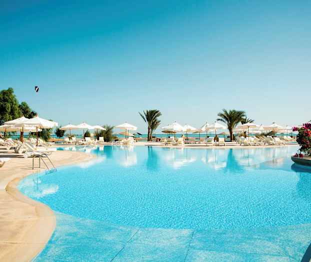 En stor pool med liggestole og parasoller omkring, palmer og blomster ses i baggrunden. (AI-genereret tekst)