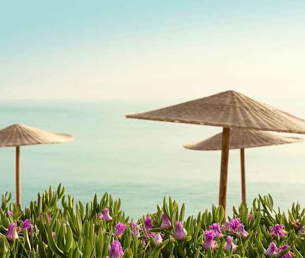 To strandparasoller med havudsigt og blomster i forgrunden. (AI-genereret tekst)