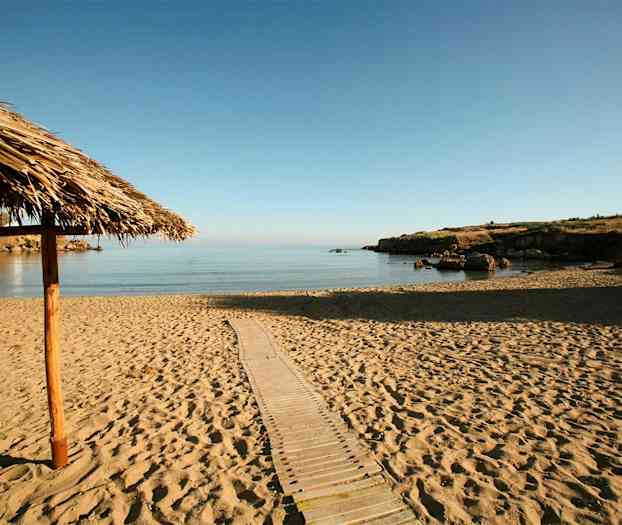 En sandstrand med udsigt over roligt, klart vand. Et tag af siv er synligt til venstre. (AI-genereret tekst)