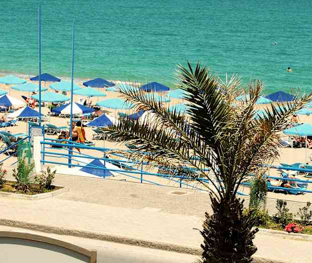 Strand med liggestole og parasoller tæt på havet, med en palme i forgrunden. (AI-genereret tekst)