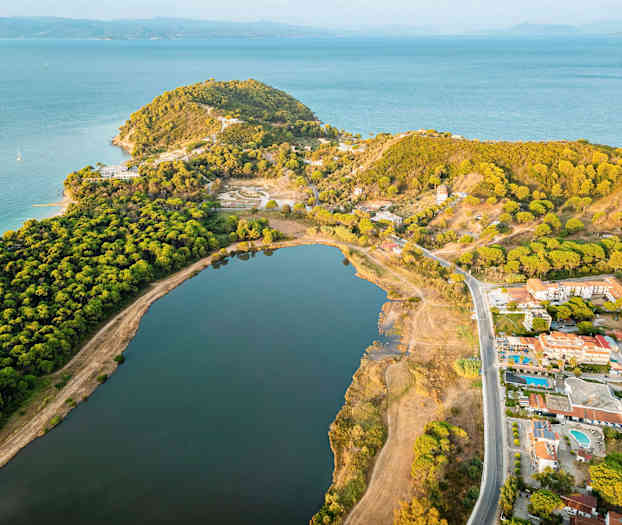 Luftfoto af en kyst med skov, en stor indsø og bygninger. (AI-genereret tekst)