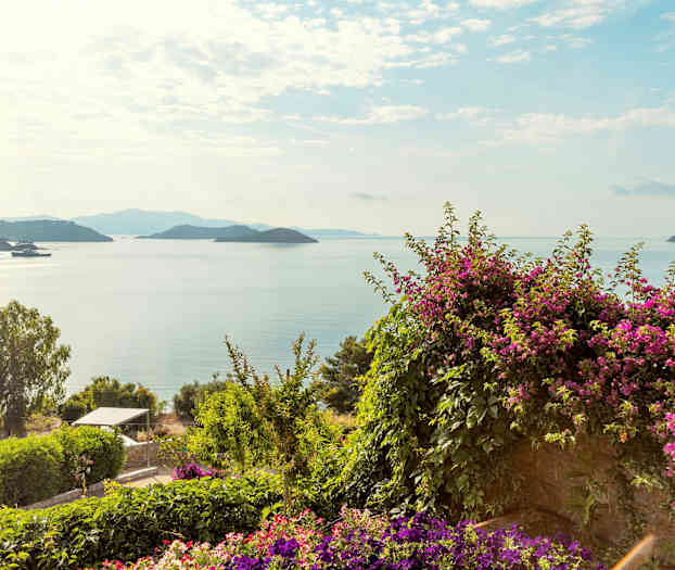 Udsigt over havet med øer i det fjerne, omgivet af grønt og blomster. (AI-genereret tekst)