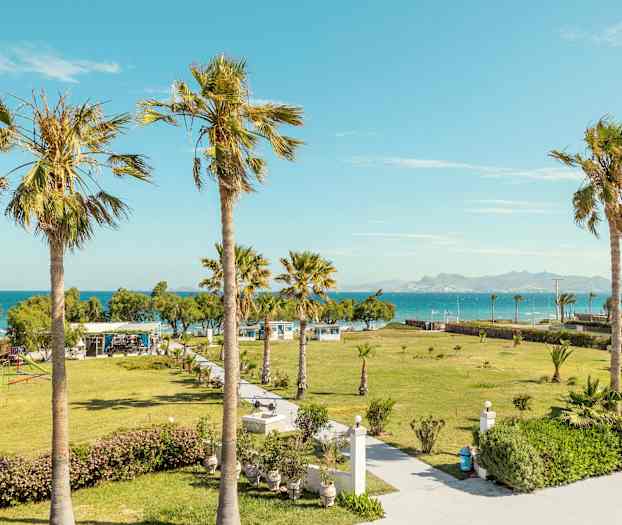 Udsigt over en frodig have med palmer og havet i baggrunden. (AI-genereret tekst)