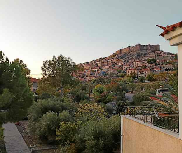 En udsigt over en by med tætbyggede huse på en høj og en større bygning øverst. Foran byen er der områder med træer og beplantning. (AI-genereret tekst)