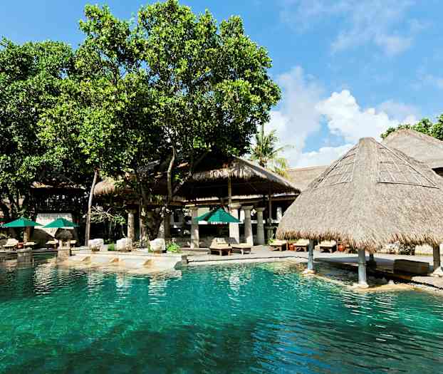 En udendørs swimmingpool med klart vand omgivet af træer og stråtækte strukturer. Solparasoller og liggestole er placeret på terrassen ved siden af. (AI-genereret tekst)