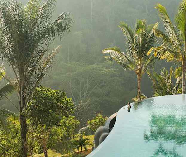 En infinitypool omgivet af palmer med grøn vegetation i baggrunden. (AI-genereret tekst)