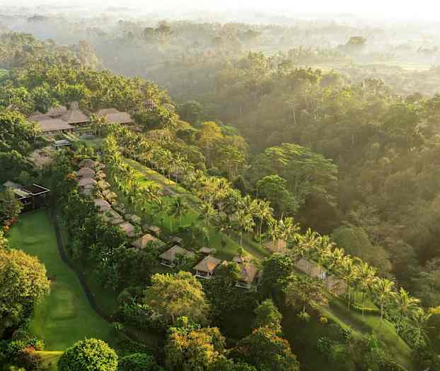 Et luftfoto af et tropisk landskab med palmer, boliger og grøn vegetation. (AI-genereret tekst)