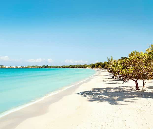 En strand med hvidt sand, blåt hav og træer langs kysten under en klar himmel. (AI-genereret tekst)