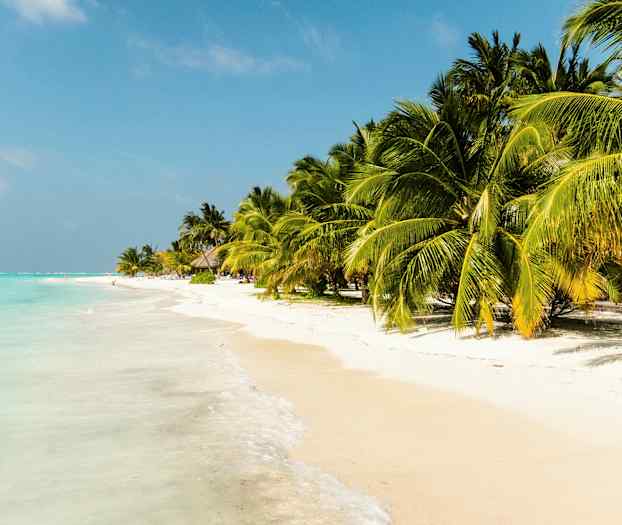 En tropisk strand med hvidt sand og palmer ved klart turkis vand. (AI-genereret tekst)