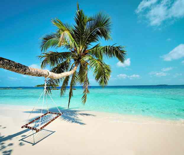 En hængekøje hænger fra en palme på en sandstrand med klart vand og blå himmel. (AI-genereret tekst)