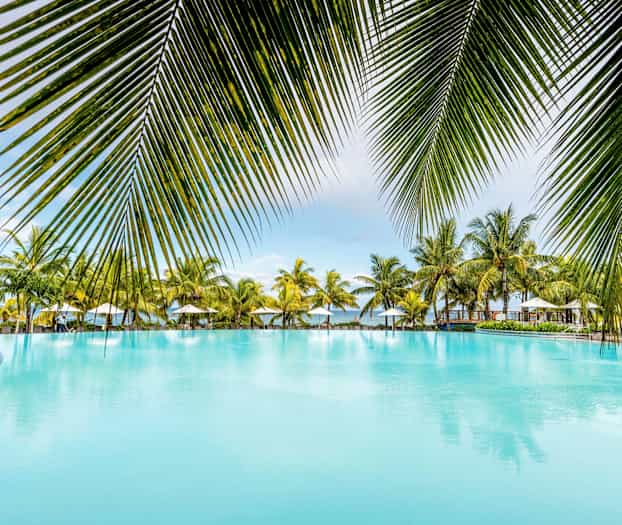 Stor pool omgivet af palmer og parasoller. (AI-genereret tekst)