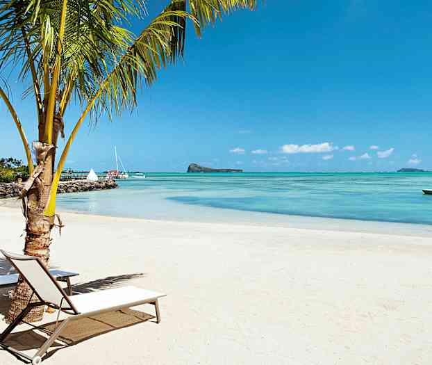 En sandstrand med en palme og liggestole ved vandet. I baggrunden ses sejlbåde og en lille ø. (AI-genereret tekst)