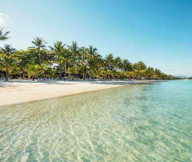 En sandstrand med palmer og klart vand. (AI-genereret tekst)