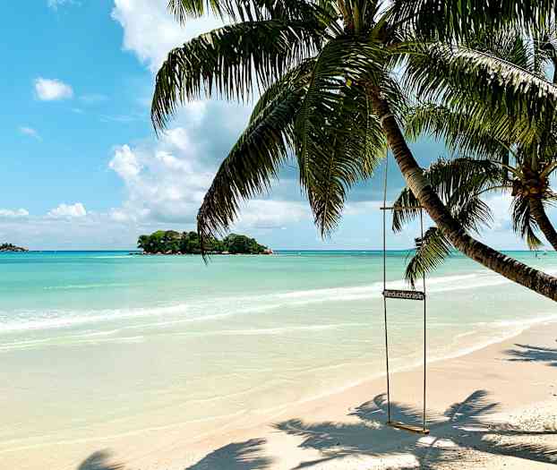 En tropisk strand med en palme, der har en gynge og en klar blå himmel. (AI-genereret tekst)