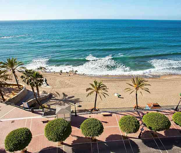 Udsigt over en strand med palmer og blåt hav. (AI-genereret tekst)