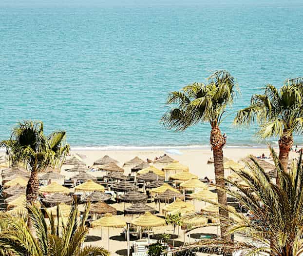 En strand med parasoller og liggestole samt palmer i forgrunden. (AI-genereret tekst)