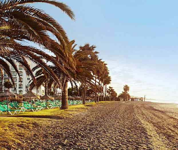 Strand med liggestole, parasoller og palmer i baggrunden. (AI-genereret tekst)