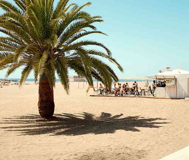 En strand med en palme i forgrunden, en café med siddepladser ved siden af. (AI-genereret tekst)