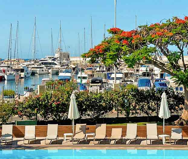 En pool i forgrunden med liggestole og parasoller, en farverig blomstrende trægren i midten og en marina i baggrunden. (AI-genereret tekst)