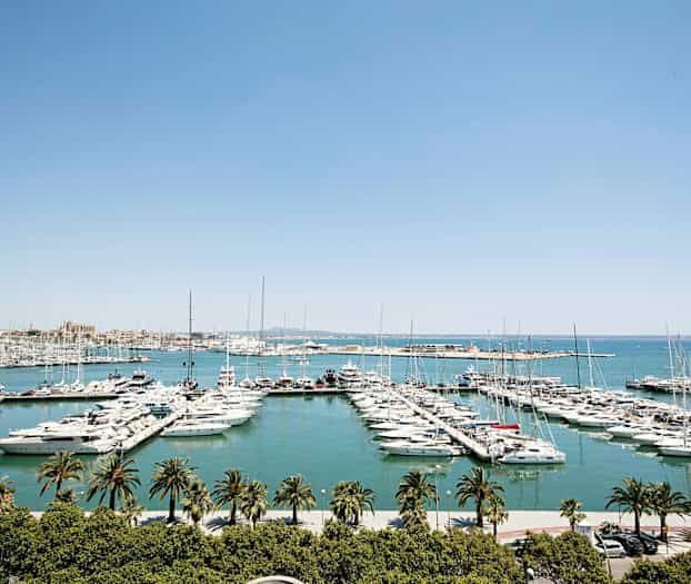 Marina med mange både fortøjet ved broer, omgivet af vand og med palmer i forgrunden. (AI-genereret tekst)