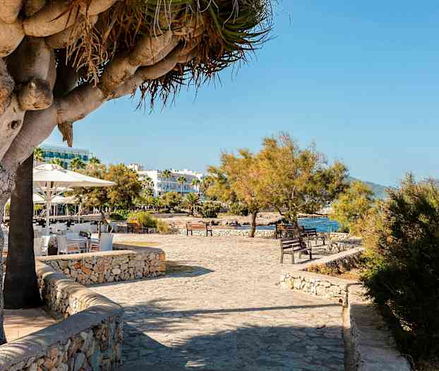 En stenbelagt sti med bænke, omgivet af træer og med udsigt over vandet. (AI-genereret tekst)