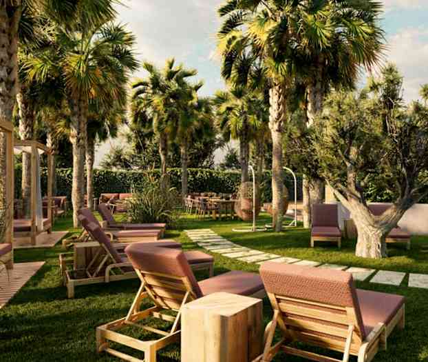 En have med liggestole, borde og stole blandt palmer og anden vegetation. (AI-genereret tekst)