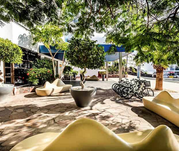 Udendørs område med moderne siddemøbler, cykler og træer samt grøn vegetation under skyggefulde træer. (AI-genereret tekst)