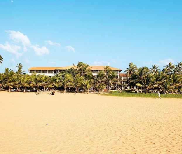 En strand med gyldent sand, palmer og en bygning i baggrunden under en klar blå himmel. (AI-genereret tekst)