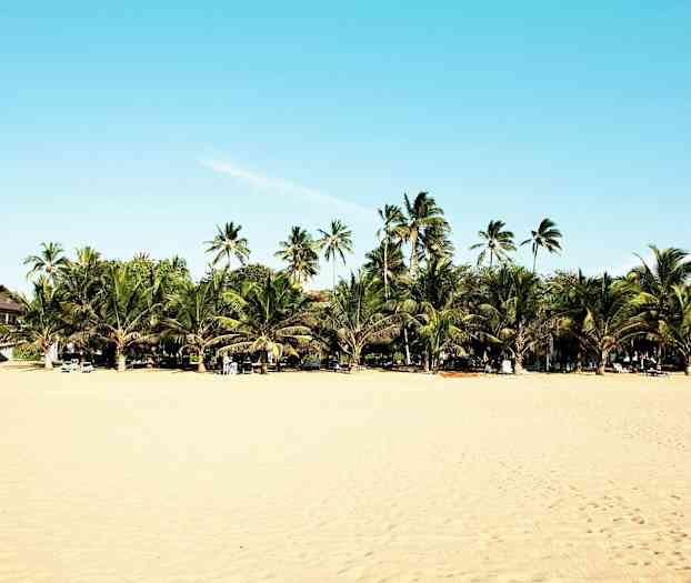 En strand med gyldent sand, mange palmer og bygninger i baggrunden. Liggestole er opstillet på stranden. (AI-genereret tekst)