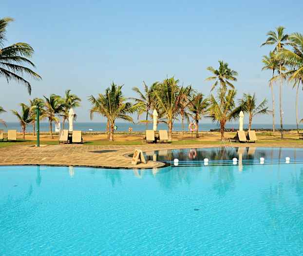 Billede af en pool med liggestole og parasoller på en tropisk beliggenhed, omgivet af palmer med havet i baggrunden. (AI-genereret tekst)